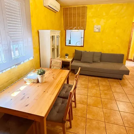 Apartamento Universidad-Hospital Saragozza Esterno foto